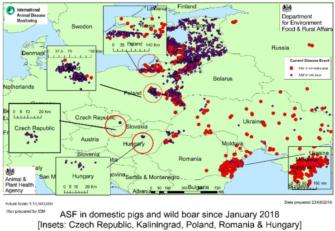 Swine Fever In Europe