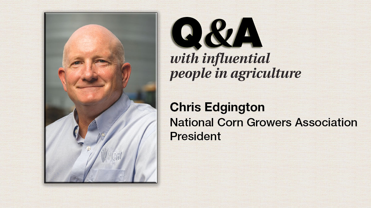 Chris Edgington