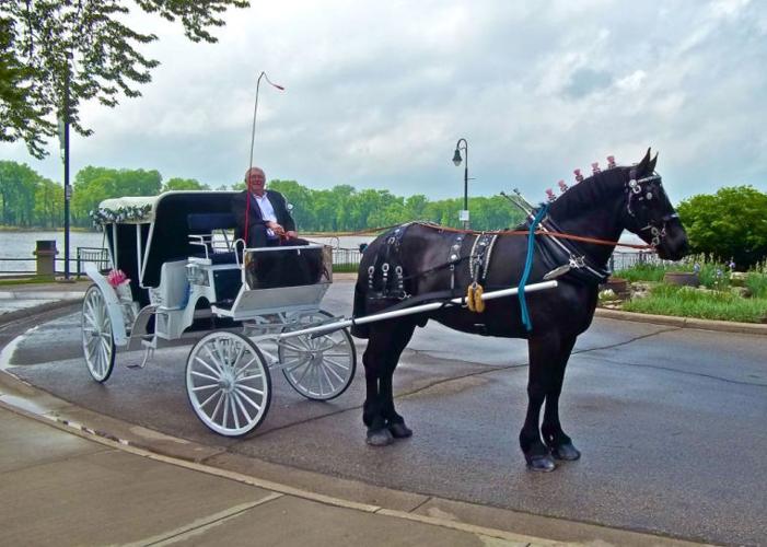 Cinderella Carriage makes dreams come true