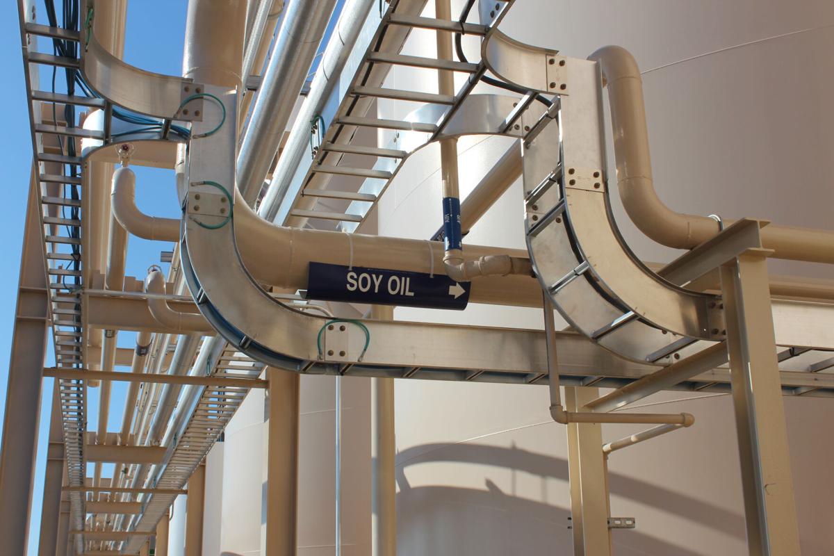 Renewable biodiesel 3.jpg