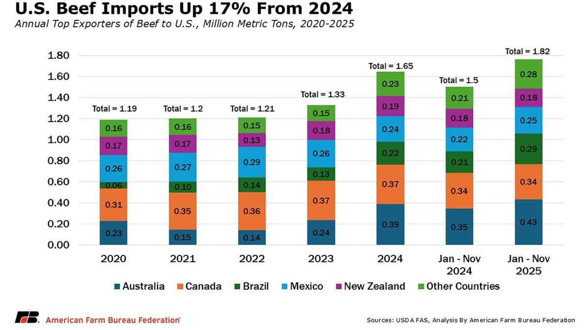 Beef imports