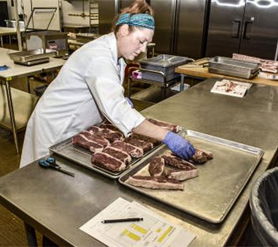 Meat lab displays cutting-edge learning