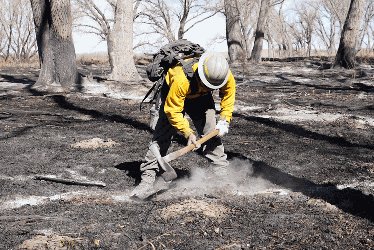 firefighter