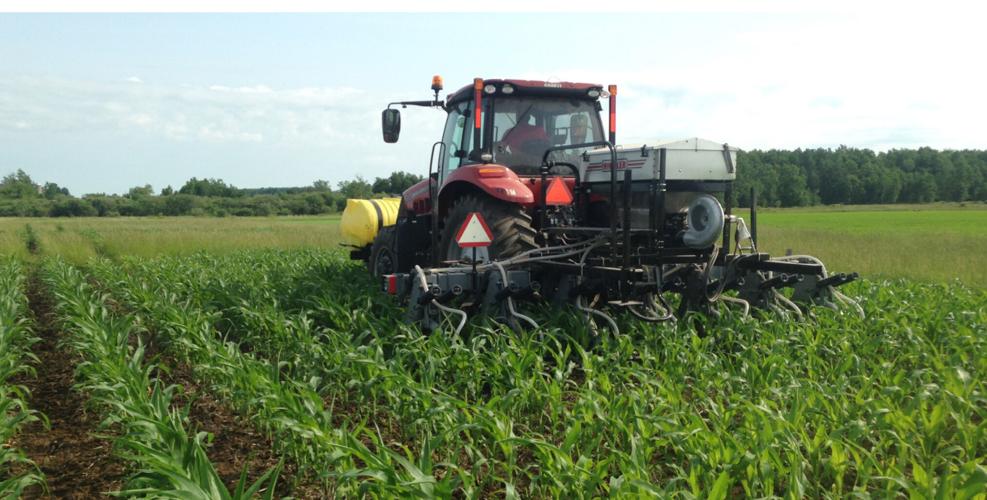 Tractor in field