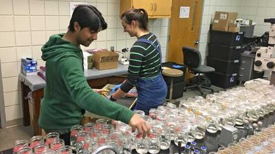 stream and tile waters in incubation jars