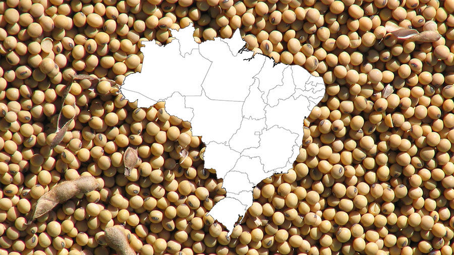 Brazil Poses Biggest Threat To U.S. Soybean Prices | Crop | Agupdate.com