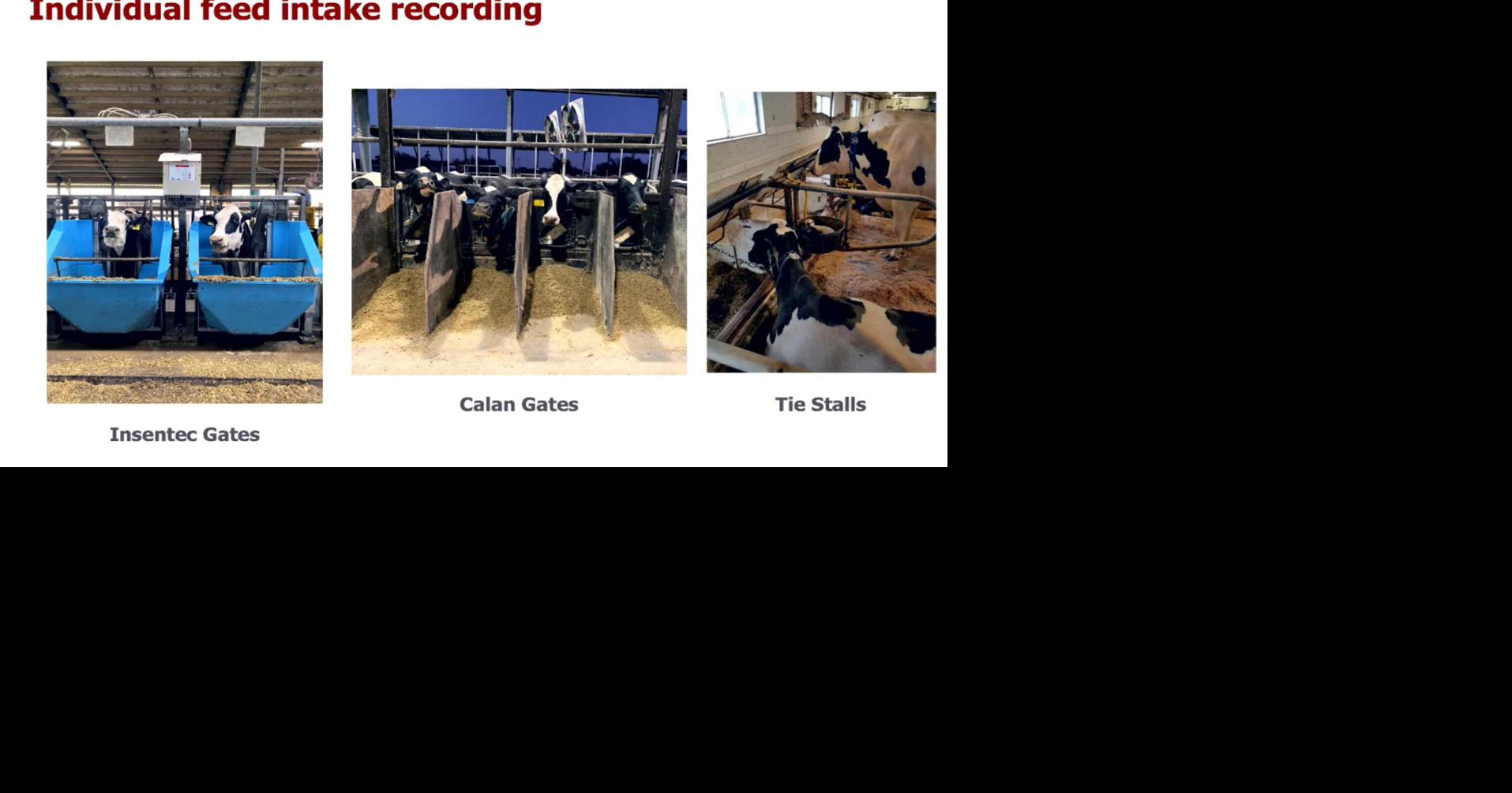 three prong 5.pdf