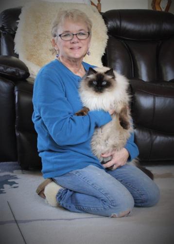 Pipping holds cat