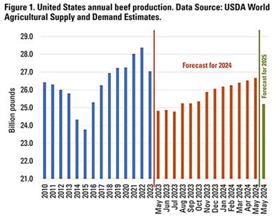 USDA beef supply forecast