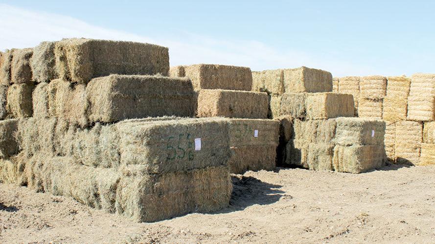 Round and square bales stacked