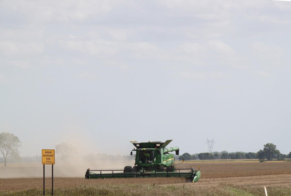 Combining soybeans/big sky