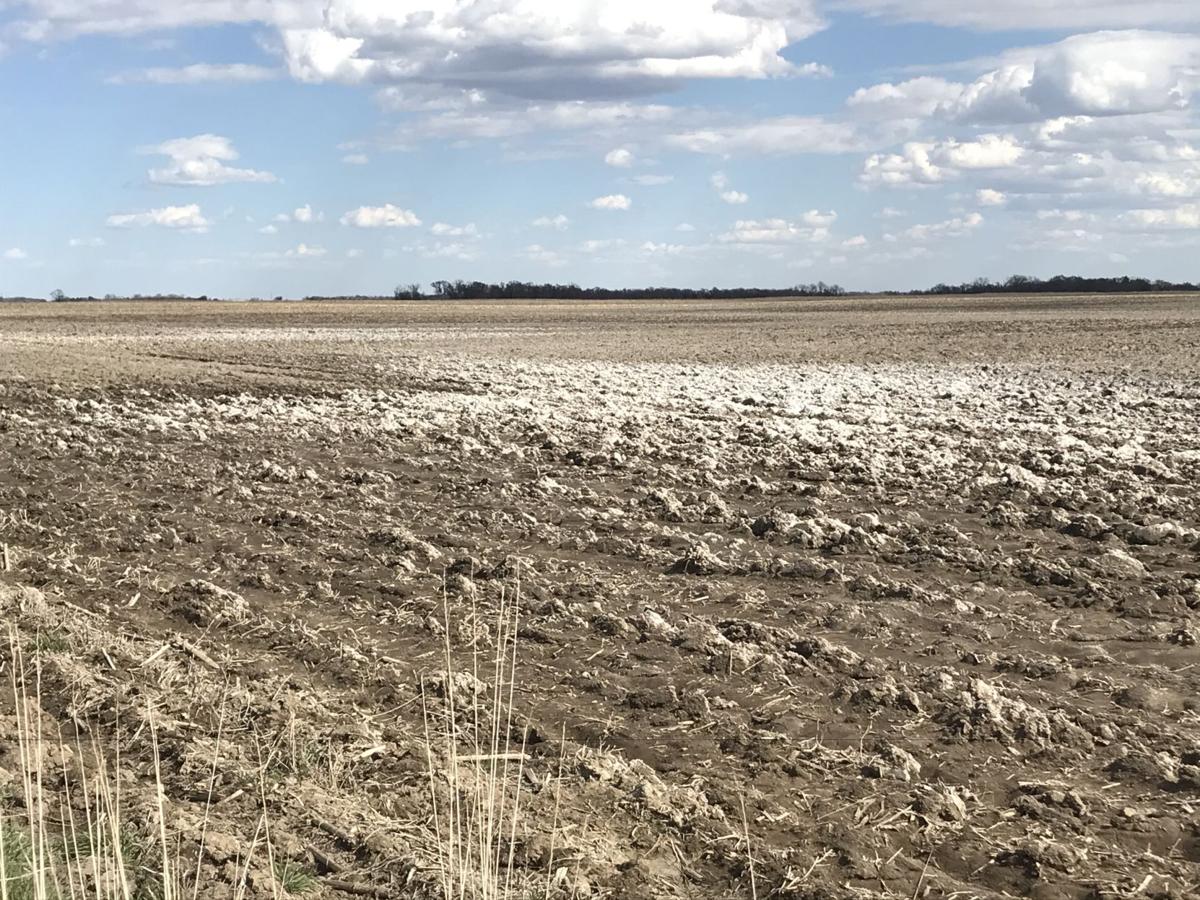 Saline soils