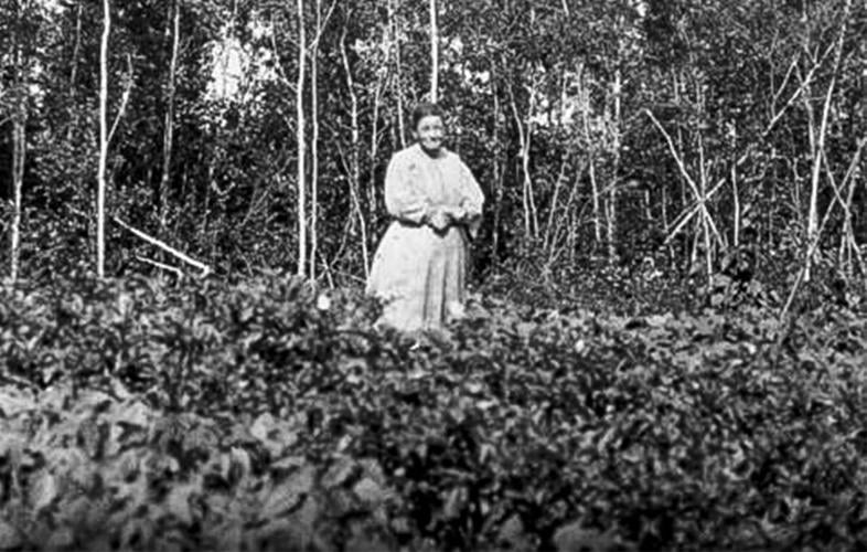 Farmer
