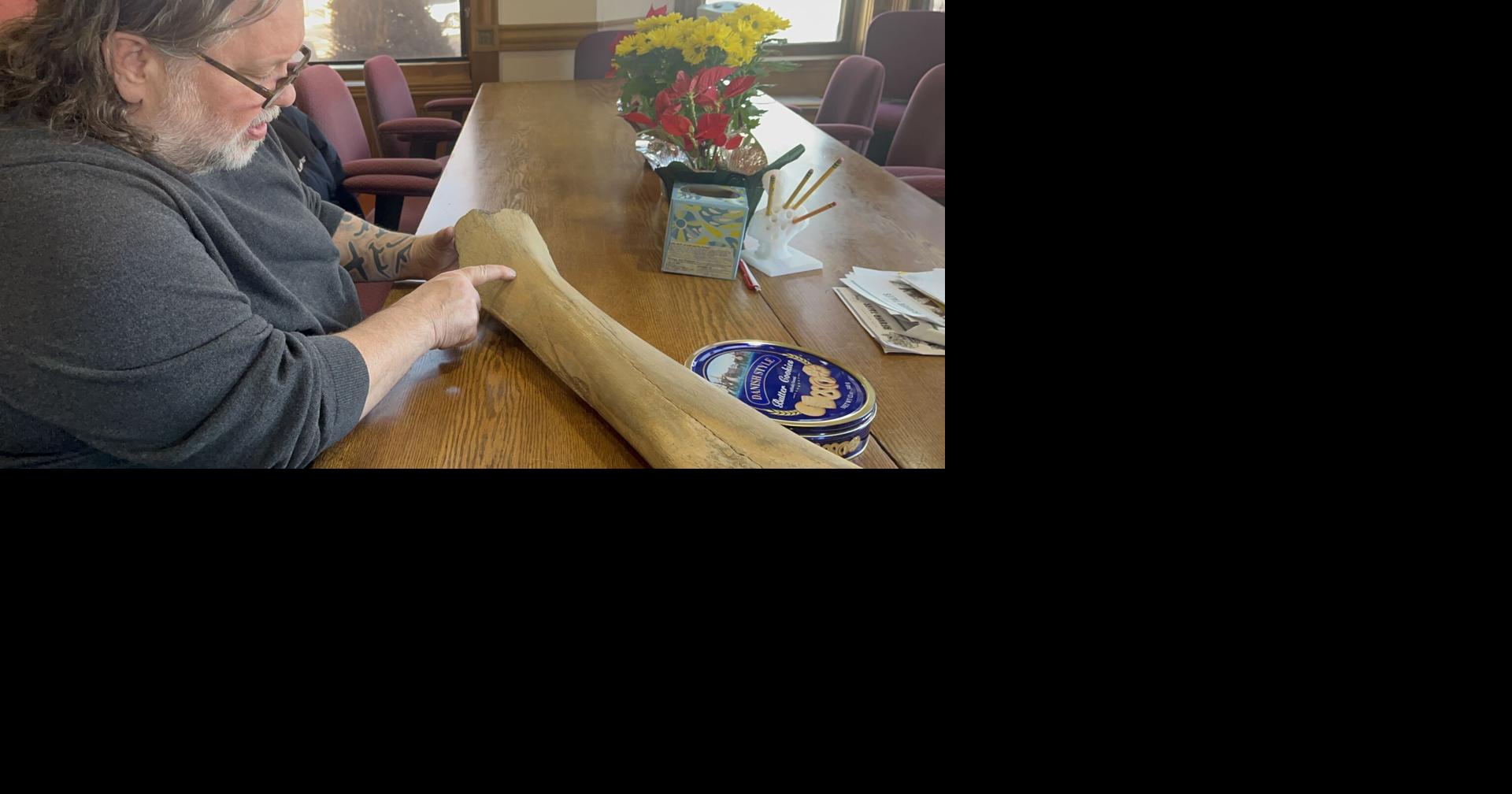 Dodge County mammoth bone is more than 16,000 years old, new testing finds