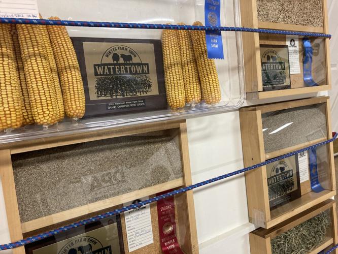 Watertown Winter Farm Show booths (5).JPG