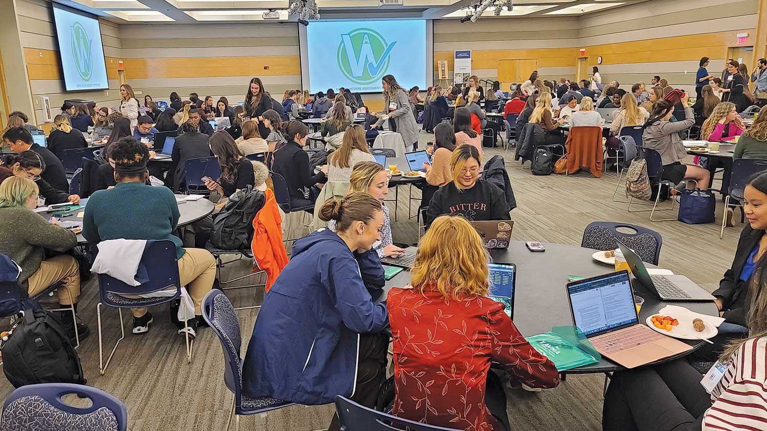 Universities expand focus on animal welfare