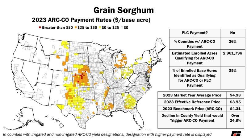 Grain sorghum