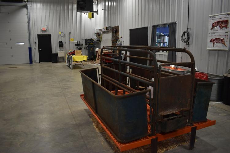 FFA Bridgewater Emery (13).JPG