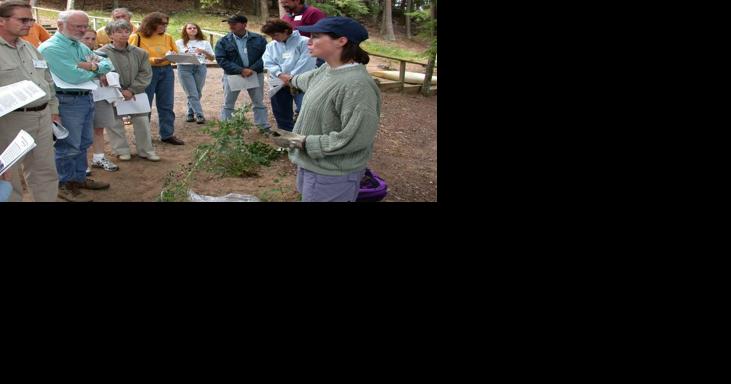 Grow skills to grow forests - Vimarsana News