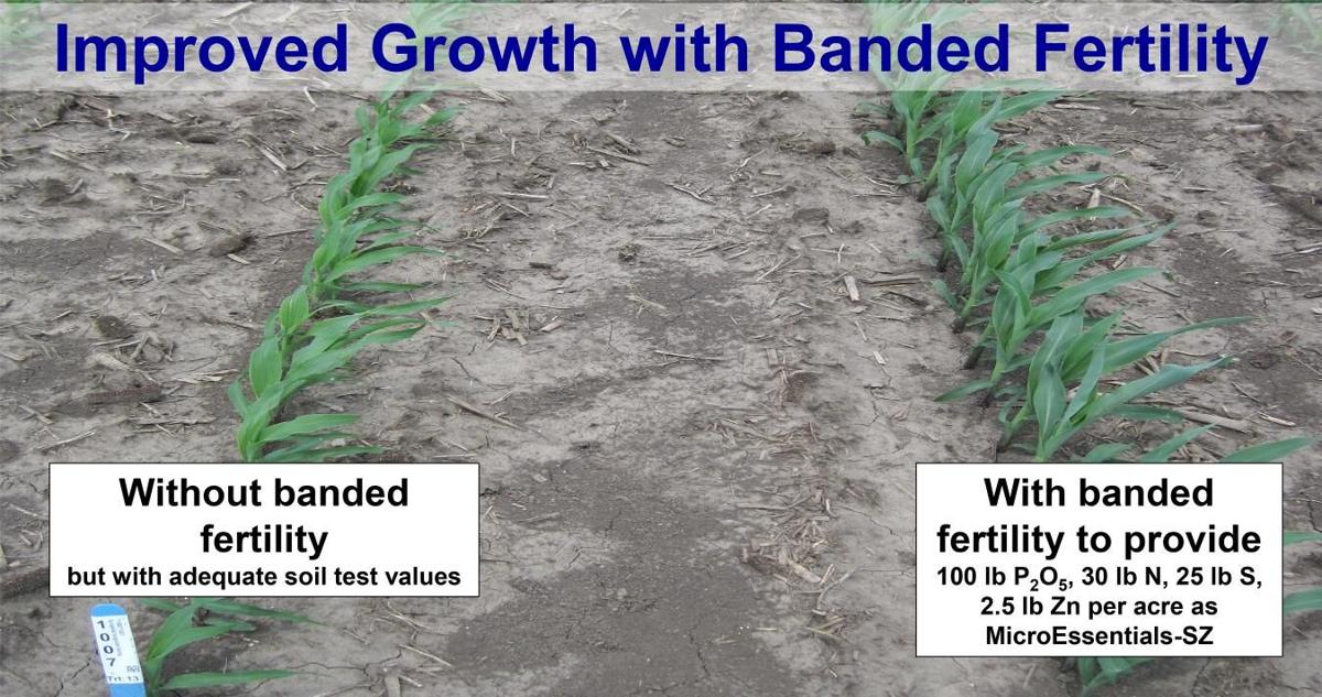 Banded fertilizer