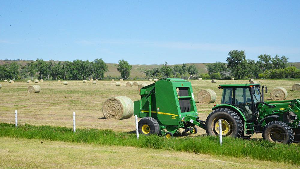 Best way to stack round hay bales to maintain quality | Crop | agupdate.com