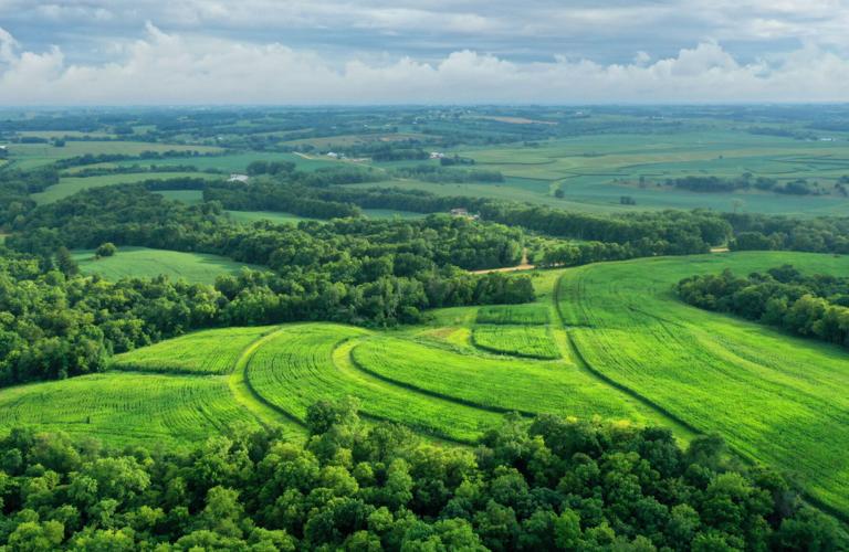 Prairie strips