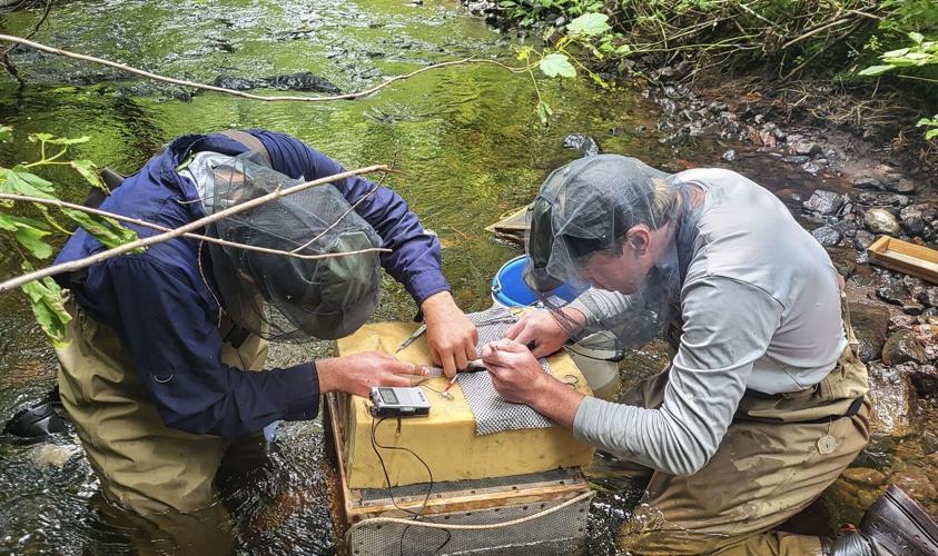Dylan Undlin, left, and Levi Miller