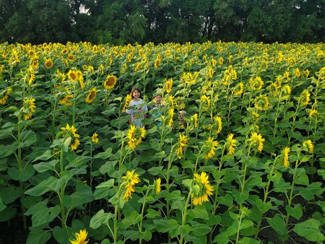Hidin' in the flowers