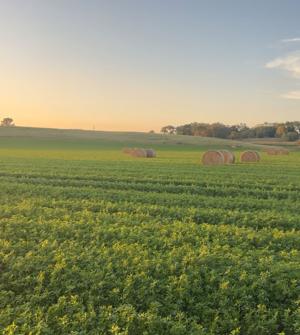 Hot weather puts crops on track for early harvest