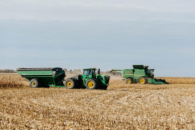 Harvest 2022