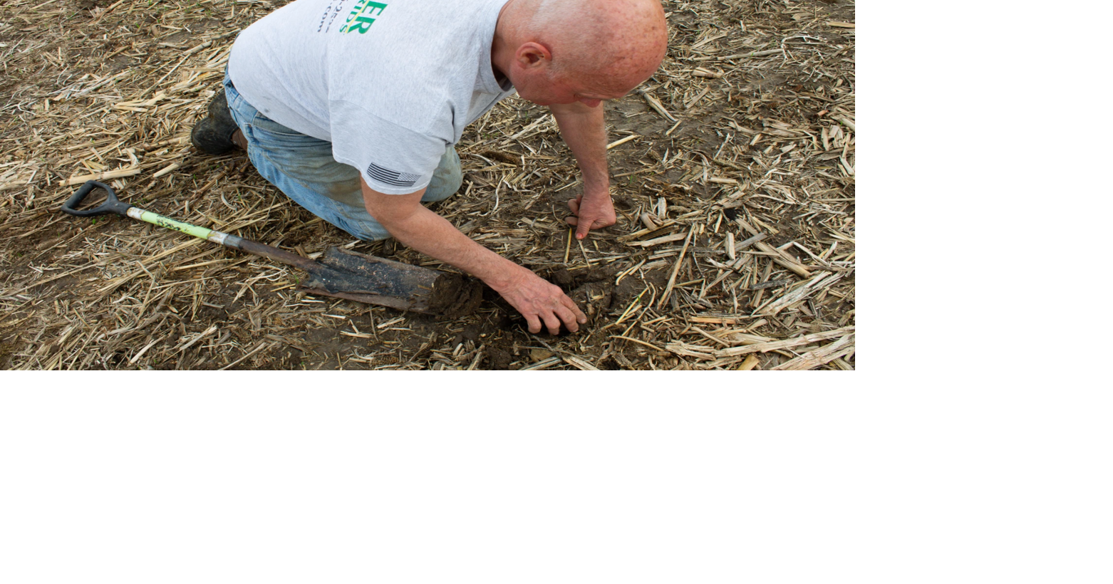 Thoren checking on crops