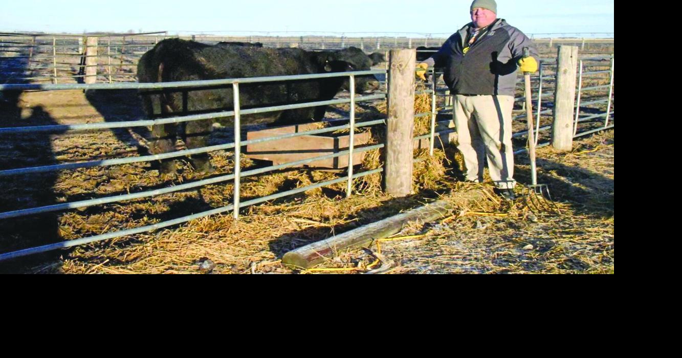 High school herd to be honored by area cattlemen