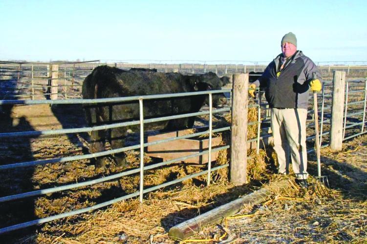 Hawk herd 1 - worked.jpg