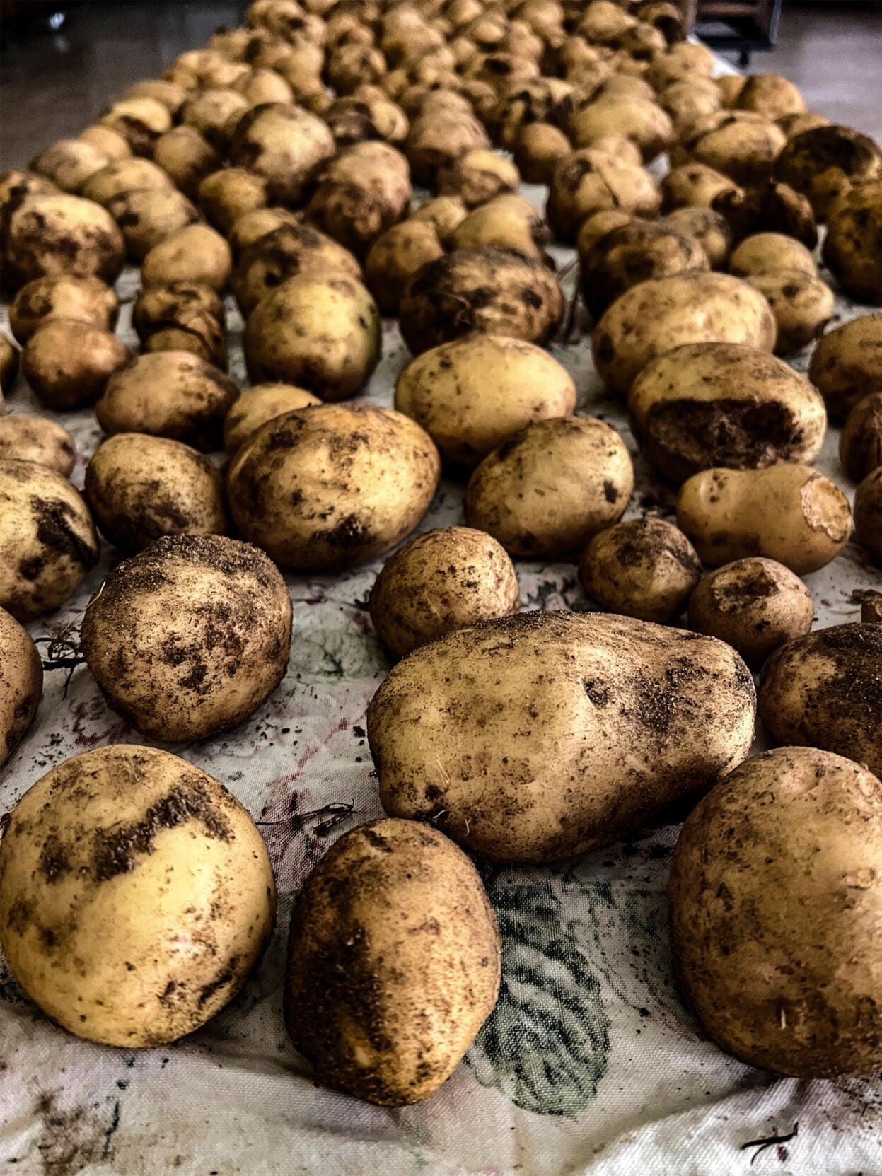 Potatoes
