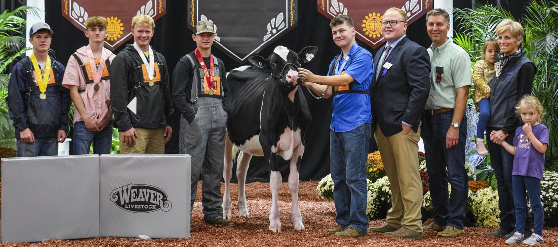 Winners of 2023 World Dairy Expo youth fitting contest intermediate male division