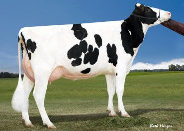 Miss Ocd Robst Delicious-ET VG-87 GMD DOM