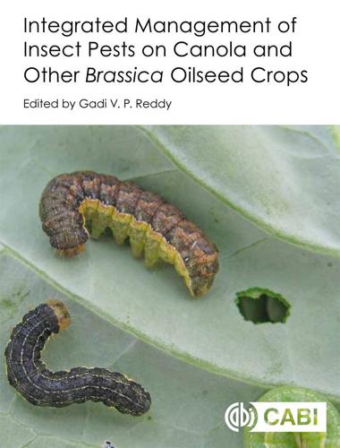 Canola pest management