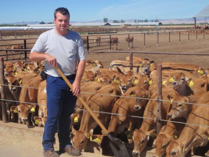 Keep calves healthy