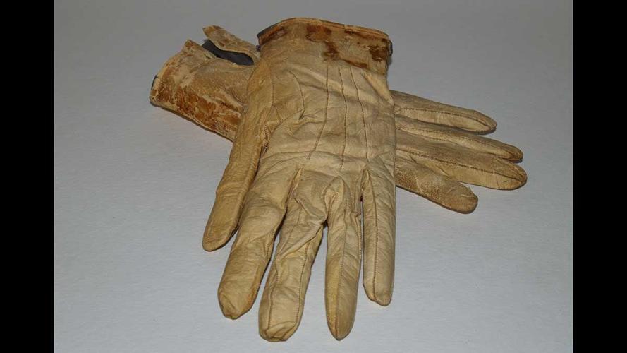 Blood-stained gloves