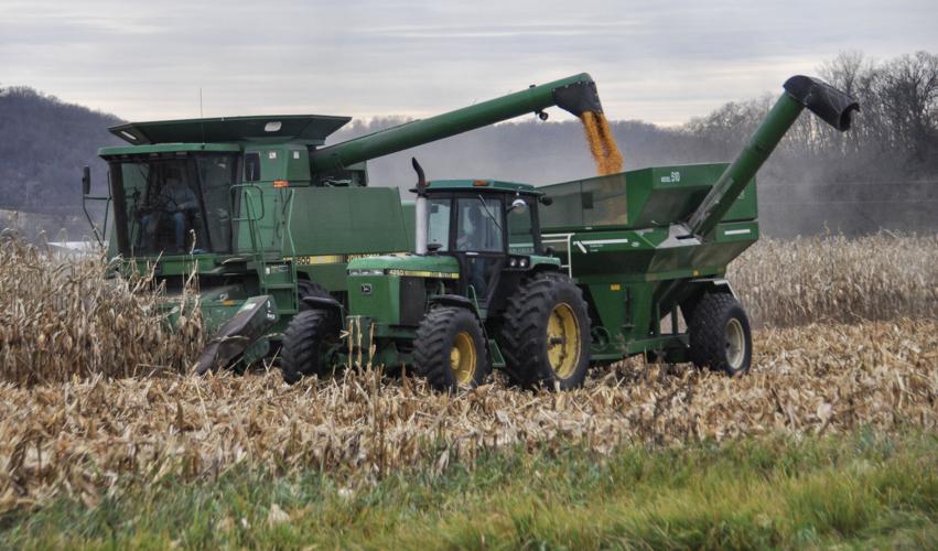 Combine in field