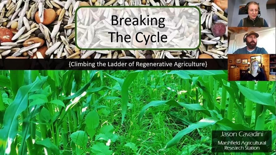Breaking the Cycle webinar