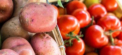 Potatoes and tomatoes