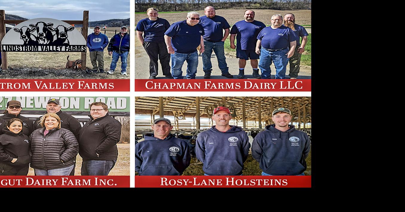 ACE Twilight Meetings