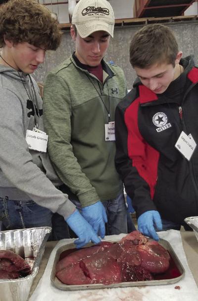Youth Leadership Derby boys dissect
