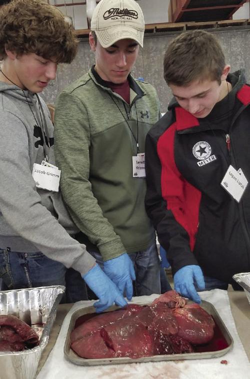 Youth Leadership Derby boys dissect