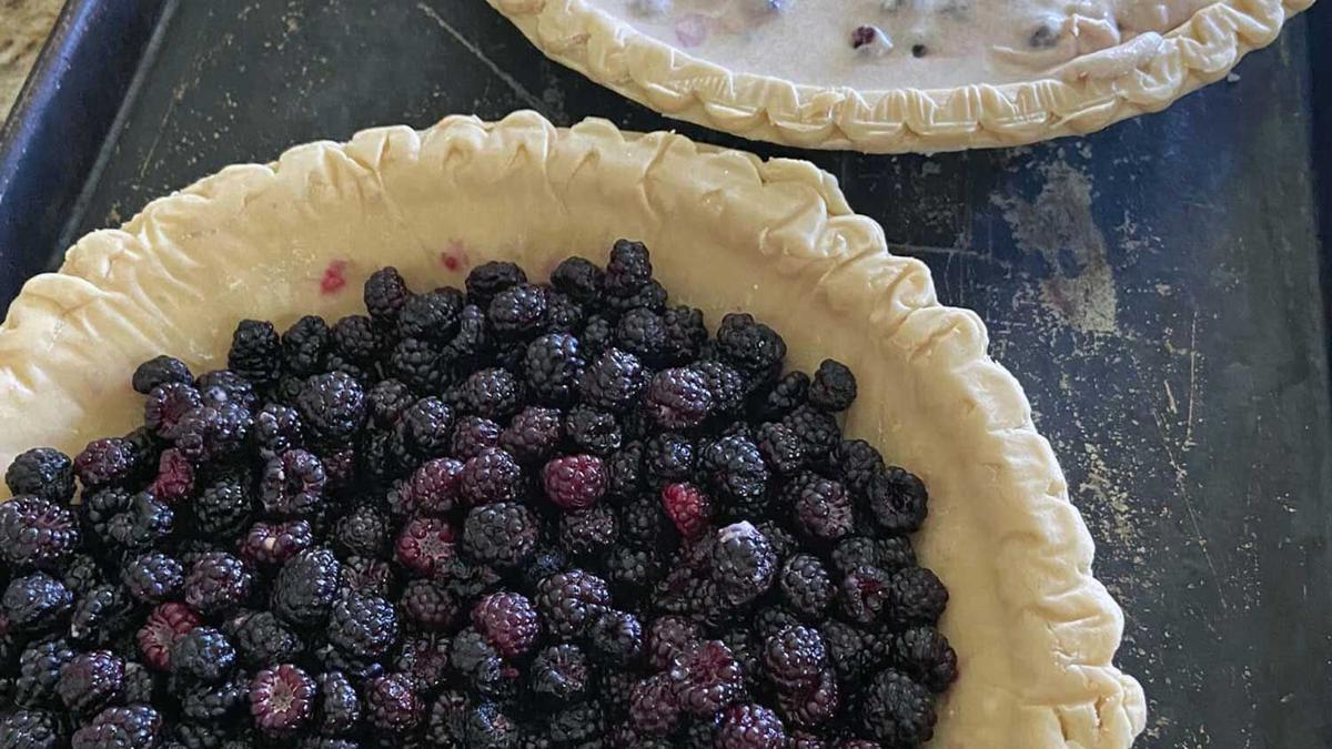 Lyla's-Blackie-Pie