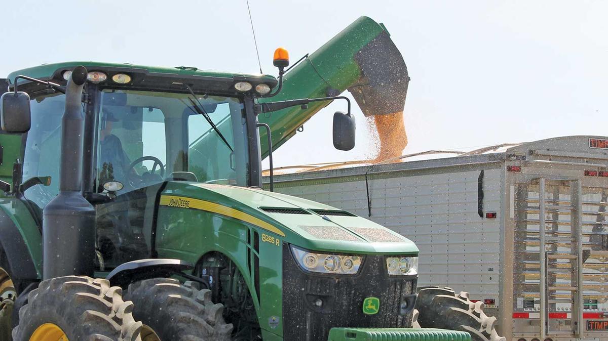 Bob Printz unloads corn