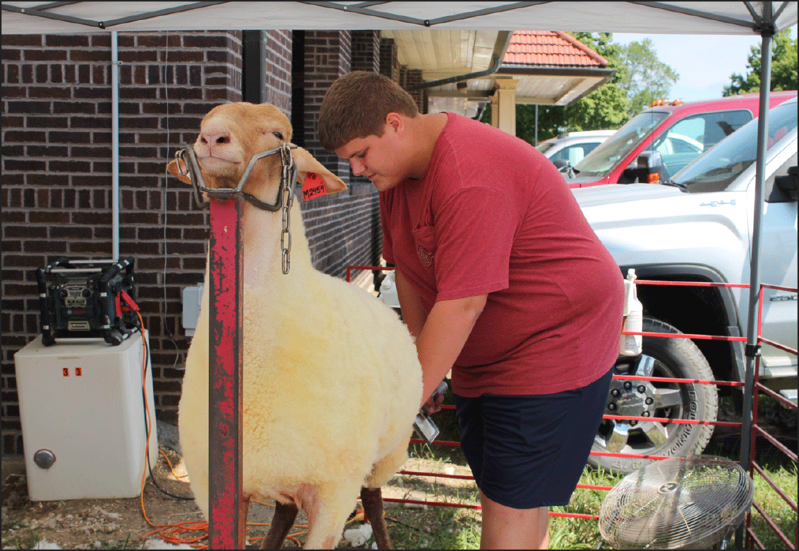 exhibitor at Illinois State Fair
