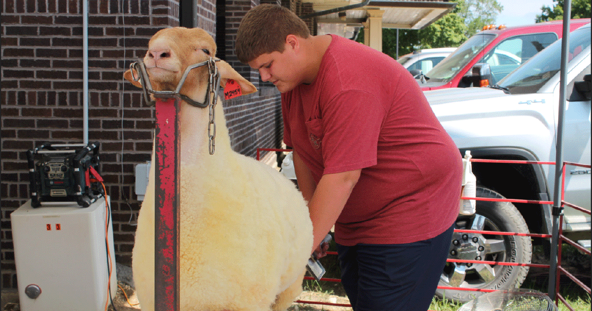 State fair aims to entertain all