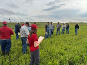 Forage options 1.jpg